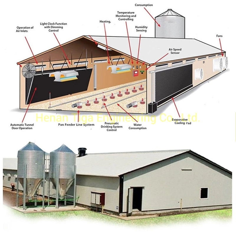 Estructura de acero prefabricada aves de corral y Chick arrojar/Car Puerto/Ware House/Taller