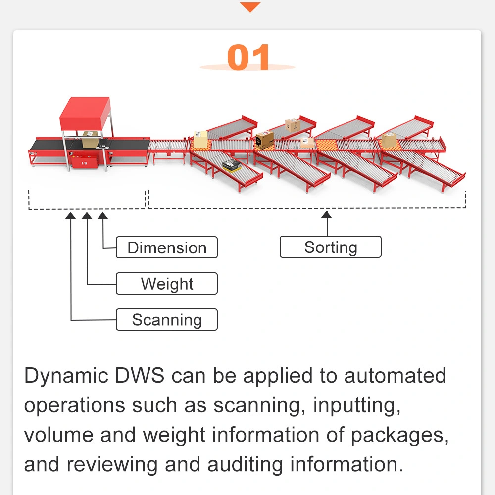 Le tri de colis Gosunm Dws Dimension de la machine le poids de la numérisation d'E-Commerce de l'équipement logistique de l'entrepôt du SCEP statique