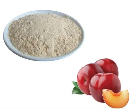 Hot Sales Natural Spray Drying Water Soluble Fruit Plum Juice Powder