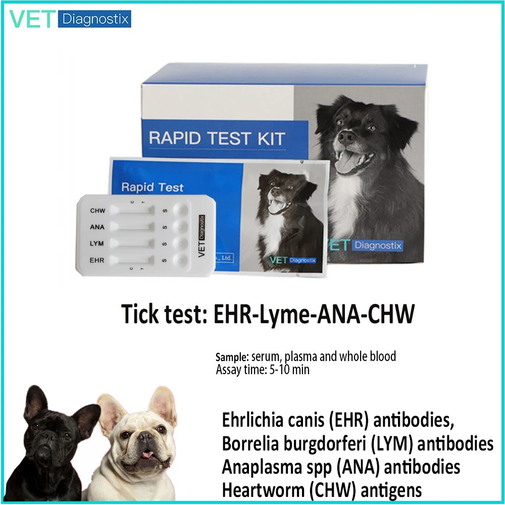 Teste de Ehrlichia/Lyme/Anaplasma/ de Canine 4dx Teste combinado do Heartworm