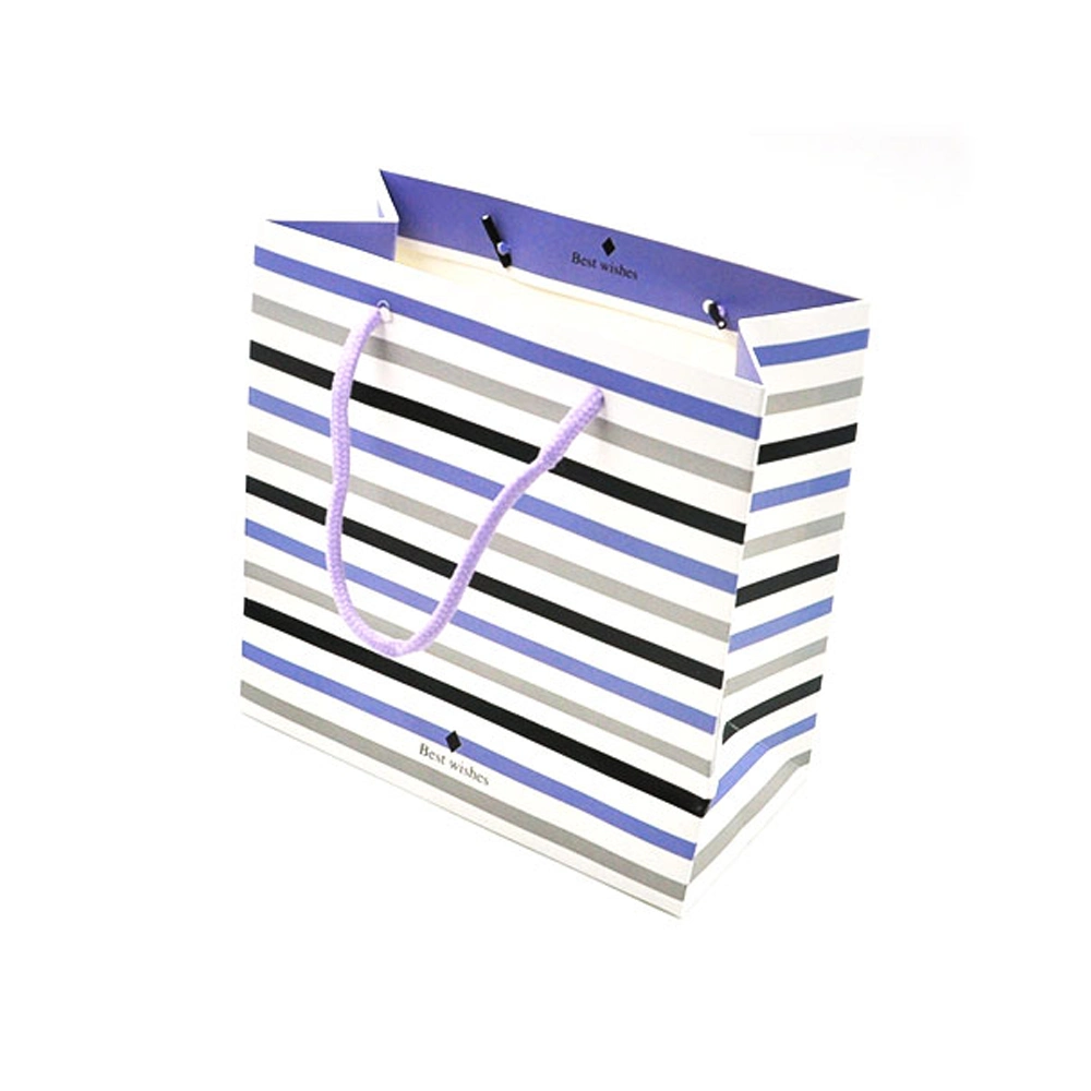 Customized Paper Shopping Bag Paper Gift Bag