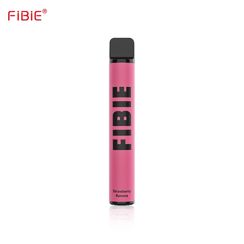 Russia Best Selling Fruit Flavors 800 Puffs Fibie Disposable/Chargeable Vape Pen