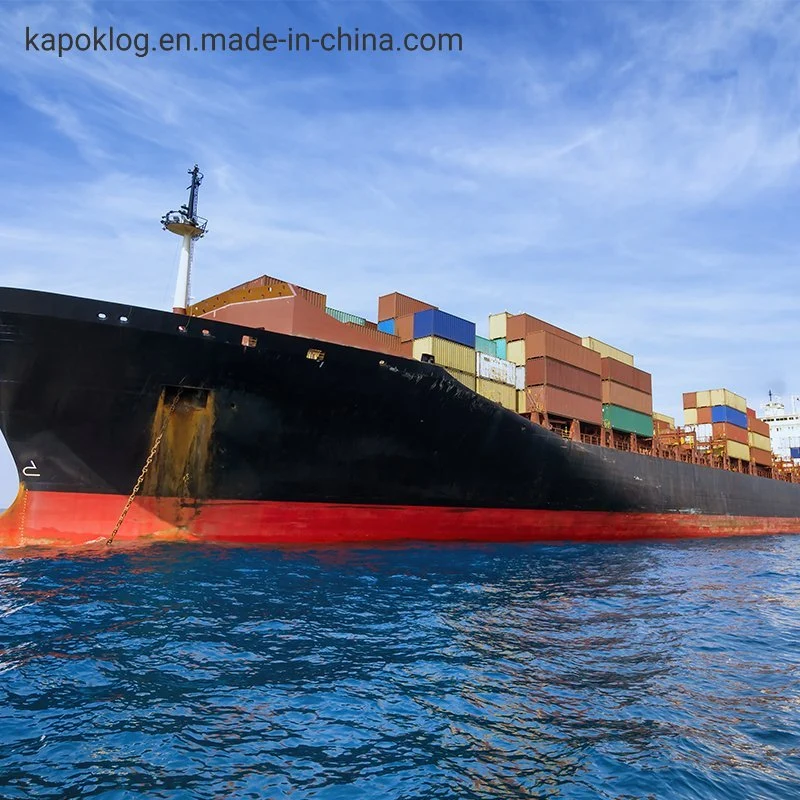 Ocean Shipment From Shenzhen to Kuwait China Shipping Agent