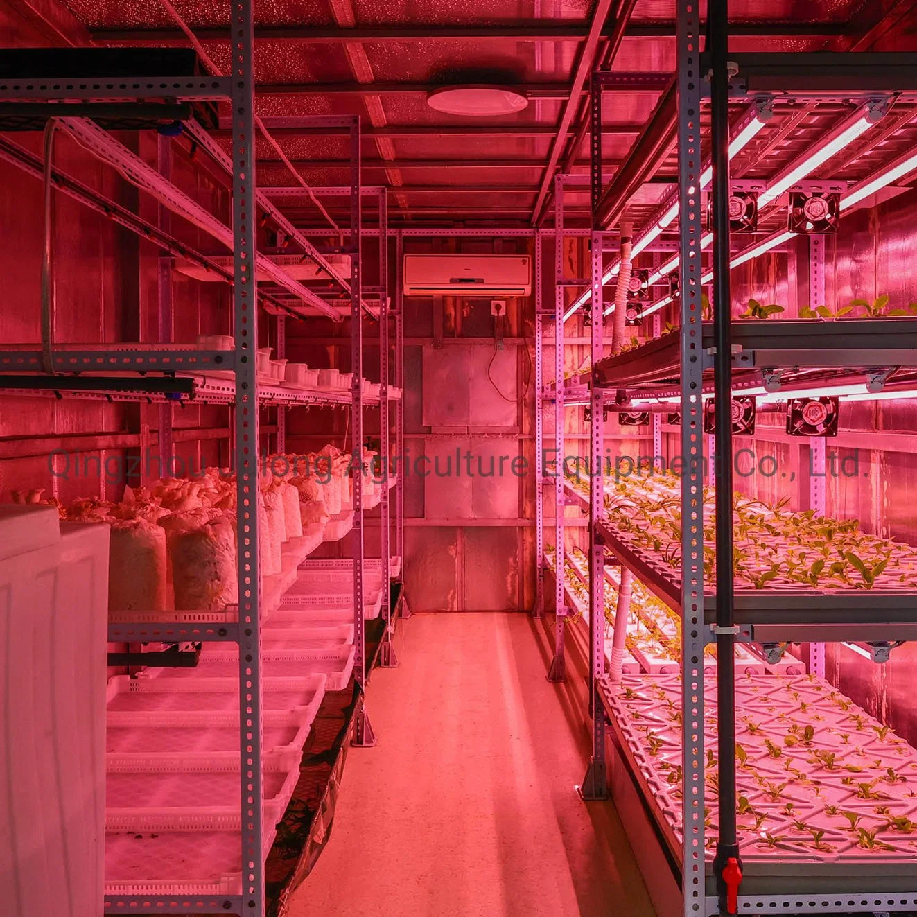 Granja de Contenedores Hidropónicos personalizada Greenhouse con sistema de luz LED Grow Para Lechuga/champiñones/hierba/hierba