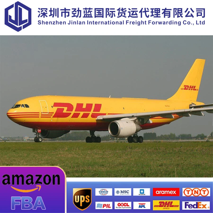 Flexible DHL/UPS Freight Forwarder desde China por el aire al Perú Brasil Alger/Argelia