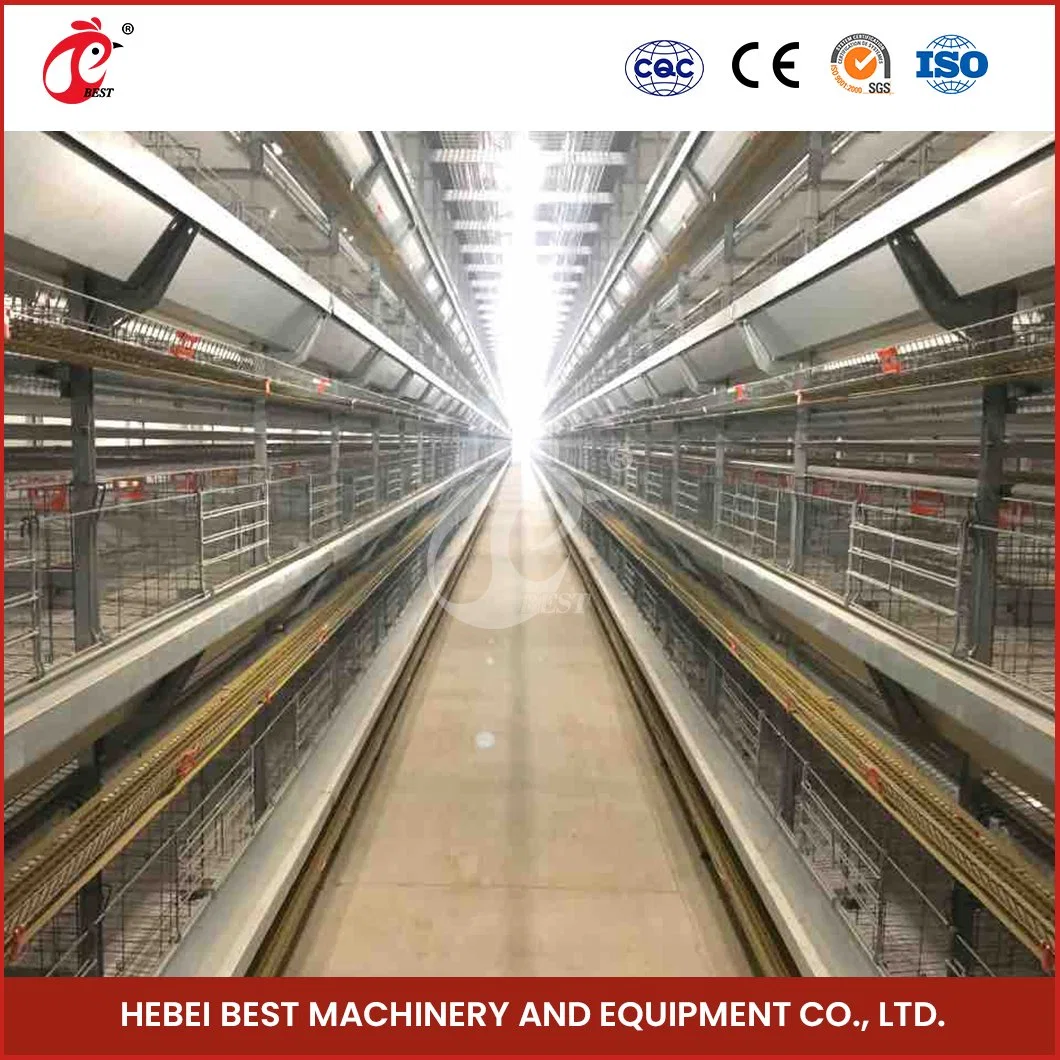 Bestchichencage de type H cage de couche de la cage de Chine blanc poulet Layer Coop Fabricant ODM Custom bonne Ventilate Egg cages de poulet Usine