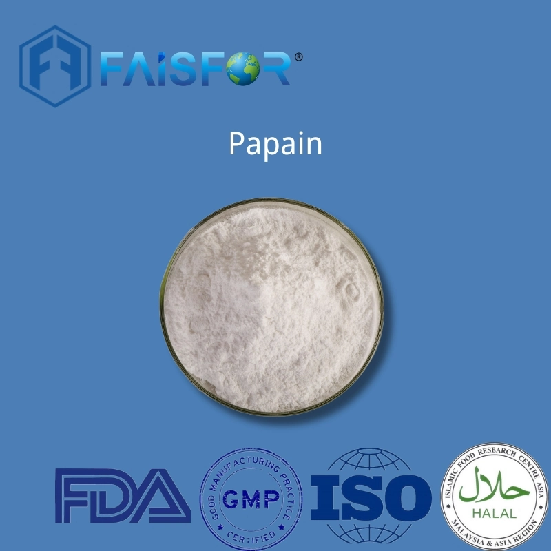 Food Grade Enzyme High quality/High cost performance  Papain with Best Price