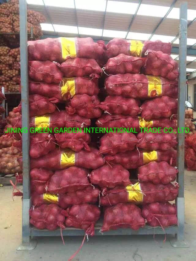 Zwiebel, Rote Zwiebel, Frische Rote Zwiebel, China Frische Rote Zwiebel, Neue Ernte China Frisch Rote Zwiebel, Top-Qualität Rote Zwiebel, 5-8cm Zwiebelbirne Rote Zwiebel, gute Qualität Rote Zwiebel