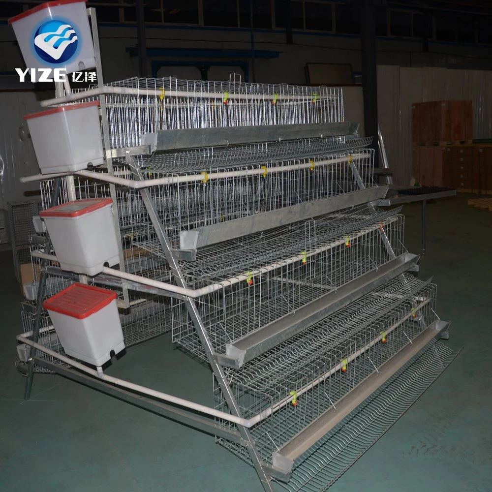 Hot Selling Good Quality Ethiopia Layer Chicken Farm Poultry Equipment for Sale