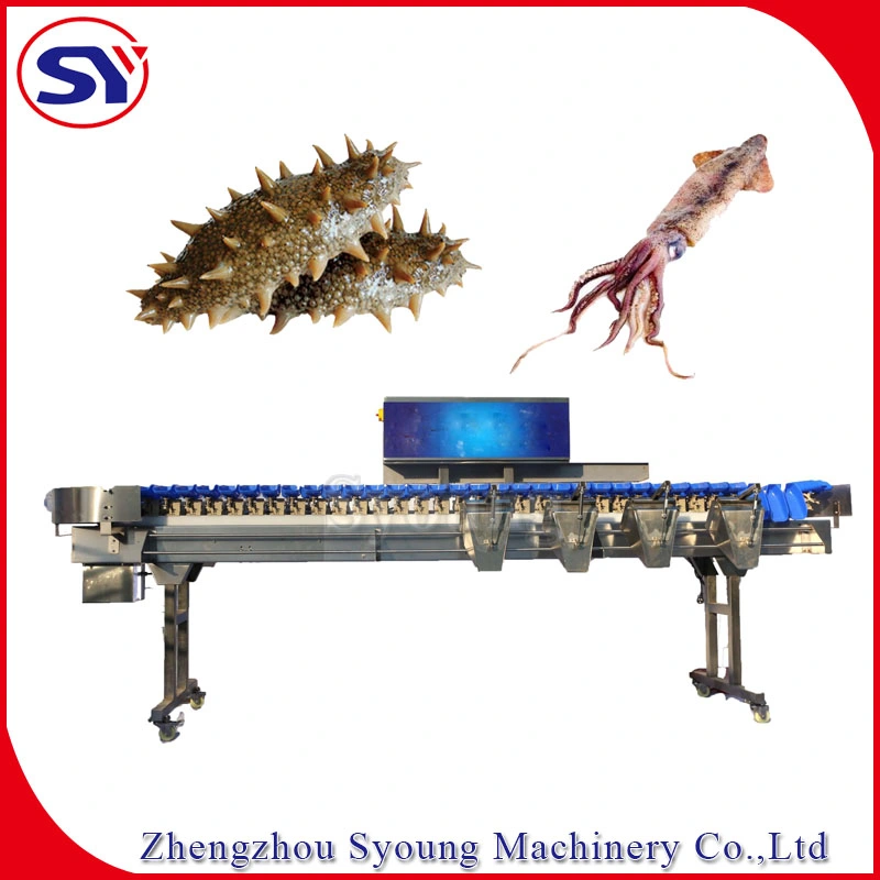 Tuna Fish Yellow Croaker Portunid Processing Machine Automatic Weight Grader Round Separator