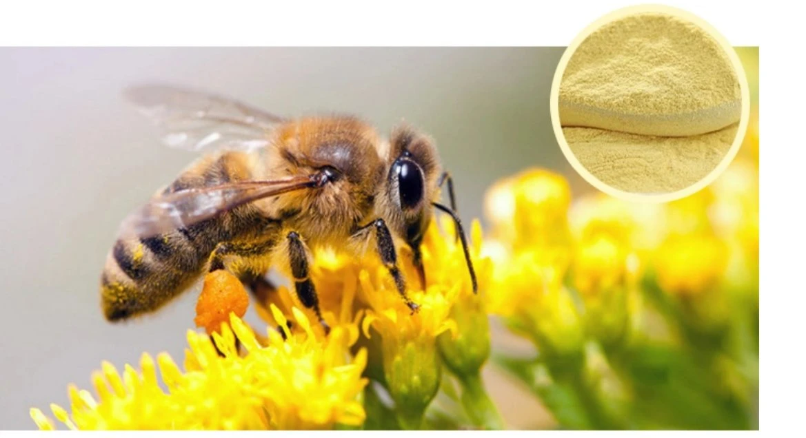Poudre de pollen d'abeille compétitive pure