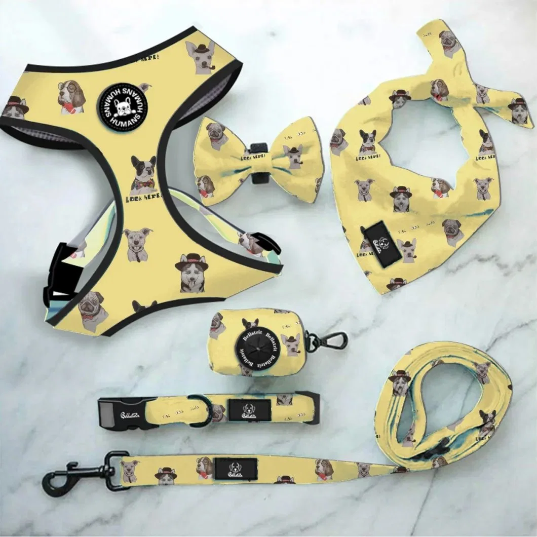 New Style Pet Products Small Dog Harness Leash Set Pet Accessories