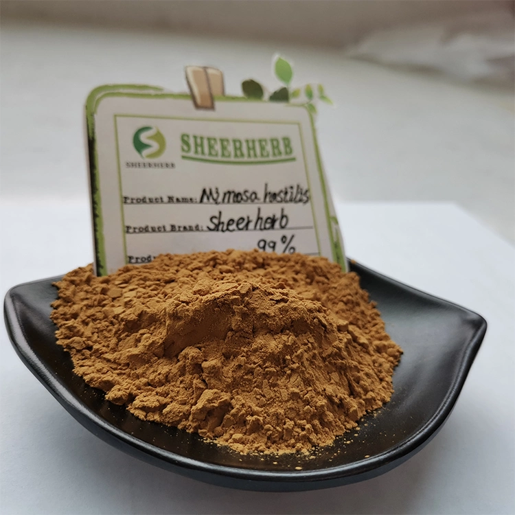 Mimosa Hostilis Root Bark Dmt Manufacturers Mimosa Hostilis Root Bark Powder