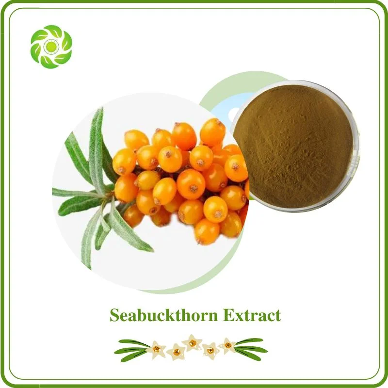 World Well-Being Kosher Certified 100% Pure Seabuckthorn Extract Flavonoids