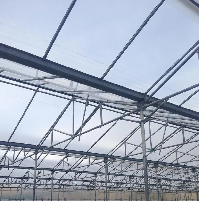 Double Layer Plastic Film Greenhouse Heat Resistant Film for Greenhouses Anti Drip Woven Greenhouse Film Polycarbonate Plastic