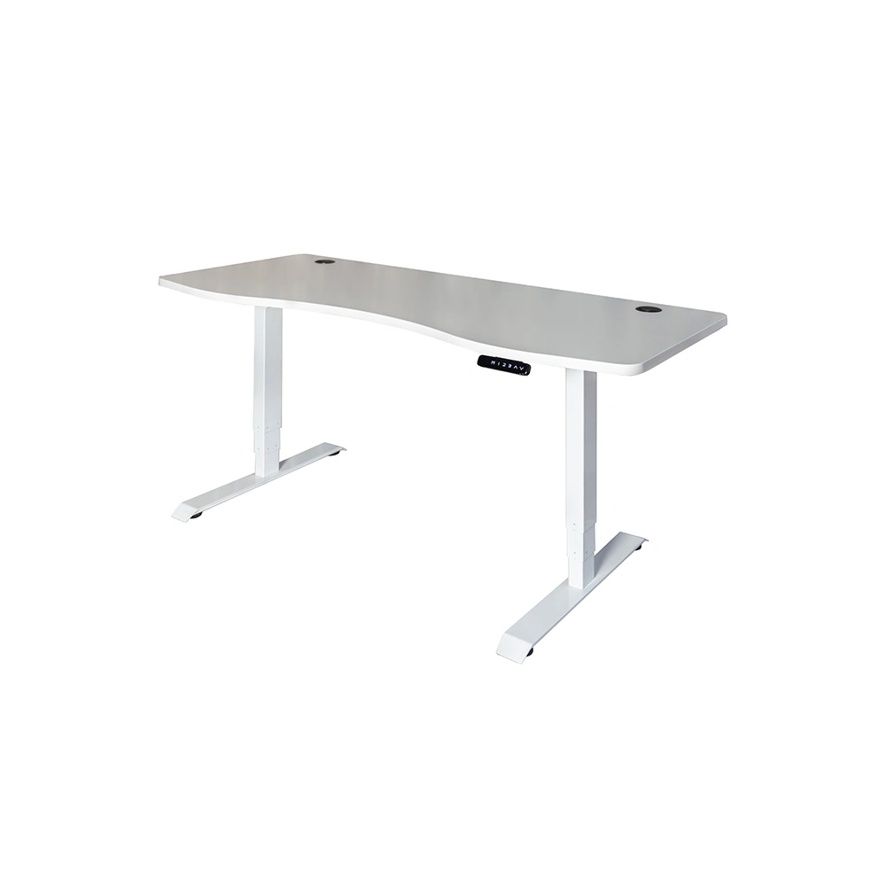 Dual Motor Electric Sit Stand Desk Adjustable Height Stand up Desk, Home Office Desk Furniture