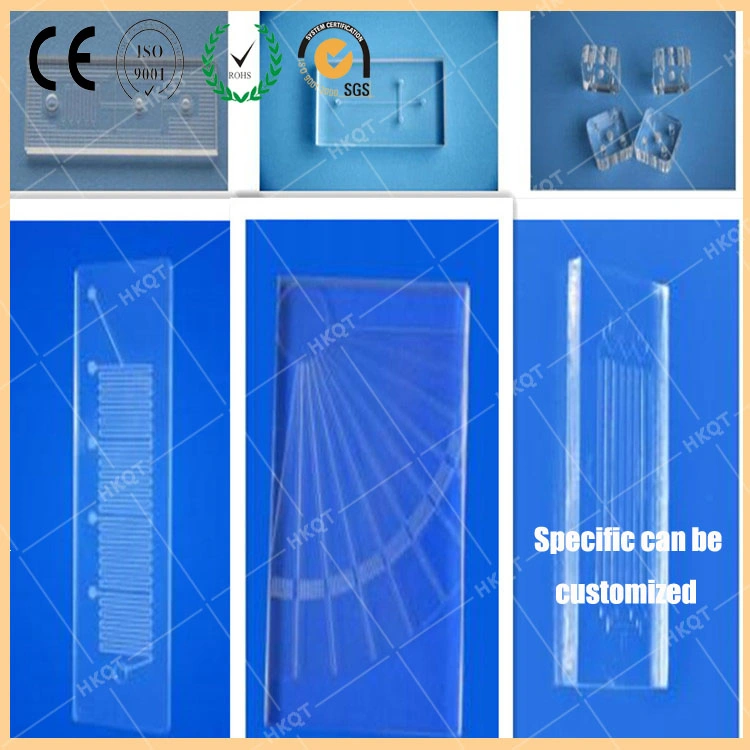 Chip Microfluidic biológicos