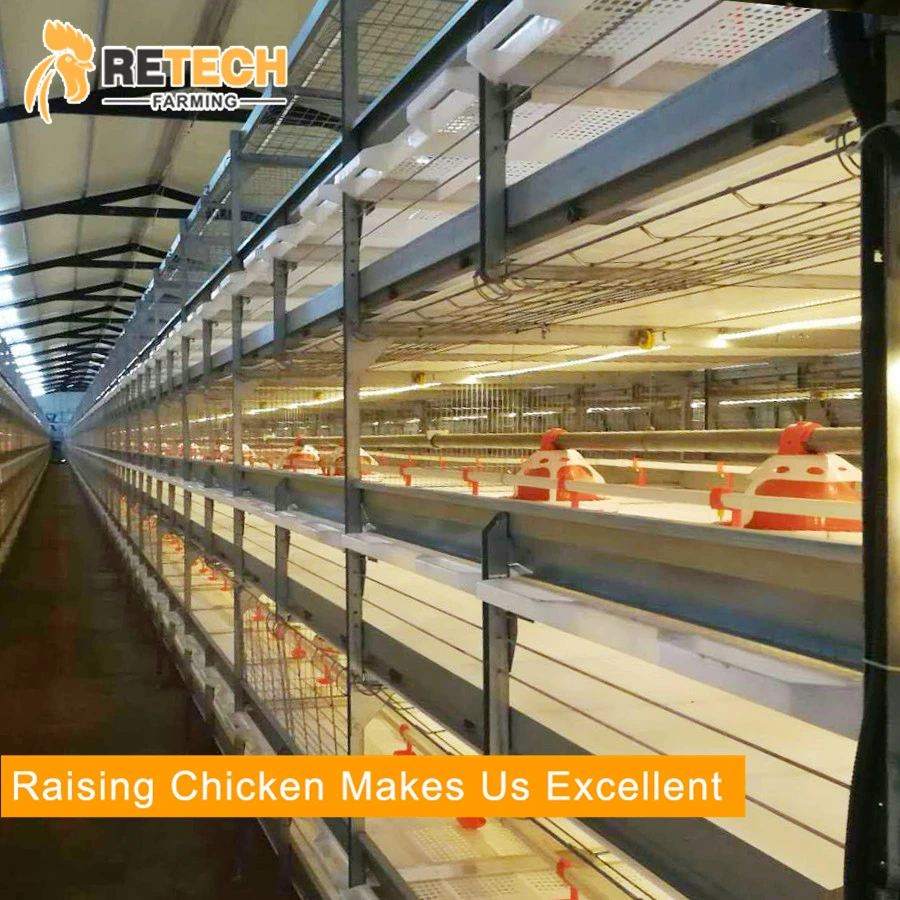 Automatic Poultry Farm Equipment Broiler Chicken Battery Cage for Sale