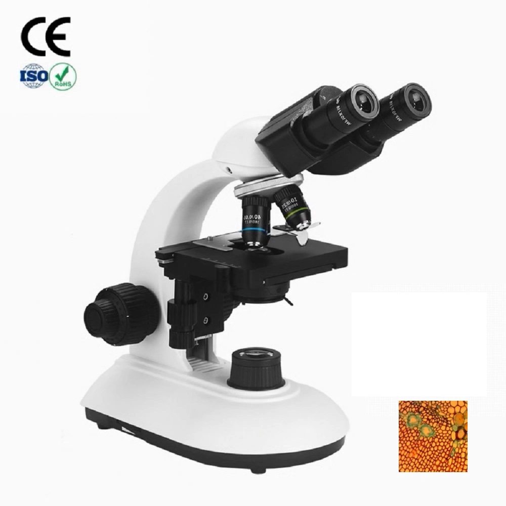 1000X резолюции медицинского документа с Amscope Trinocular Микроскоп для базовой настройки