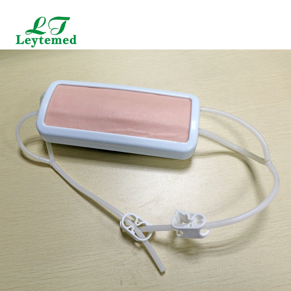 Ltm425A Modelo de almohadilla de inyección PVC IV para la enseñanza médica