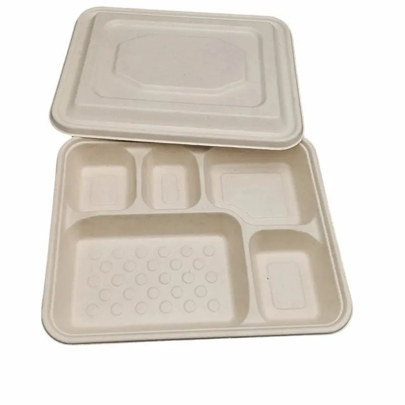 Biodegradable 5 Compartment Bagasse Sugar Cane Paper Pulp Lunch Box