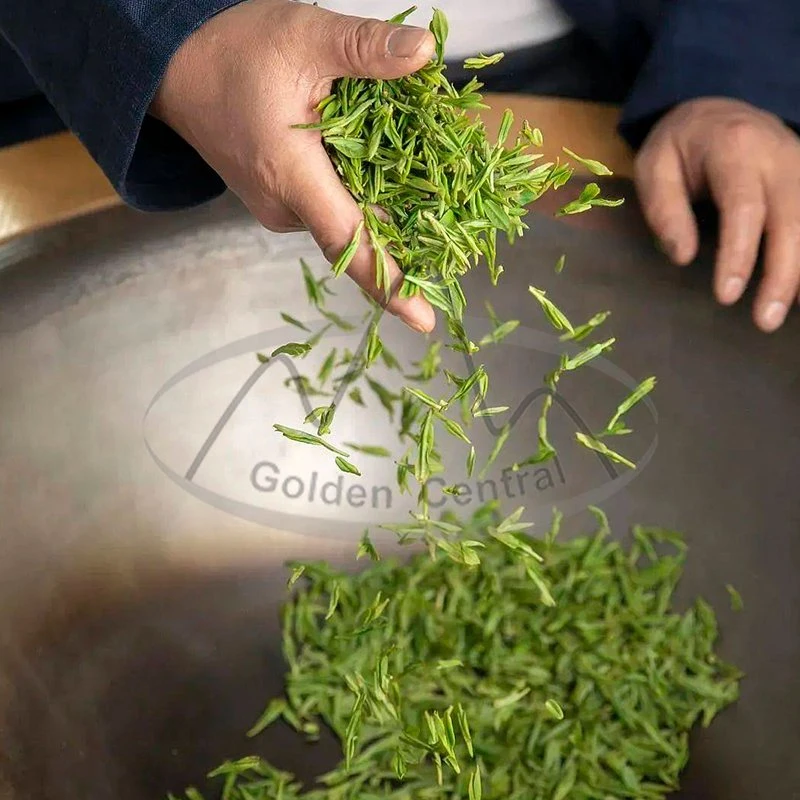 Healthy Chinese Green Tea Export in Best Price