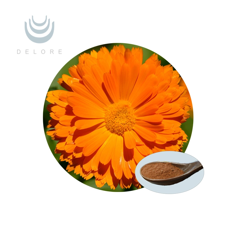 Norme BPF extrait de Marigold zéaxanthine cryptoxanthine pour la santé et Beauté