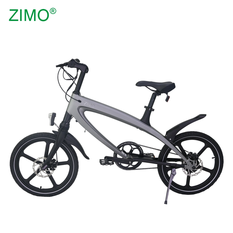 20Inch Fat Electric Moped Scooter Electric Dirt Bike E-Bike