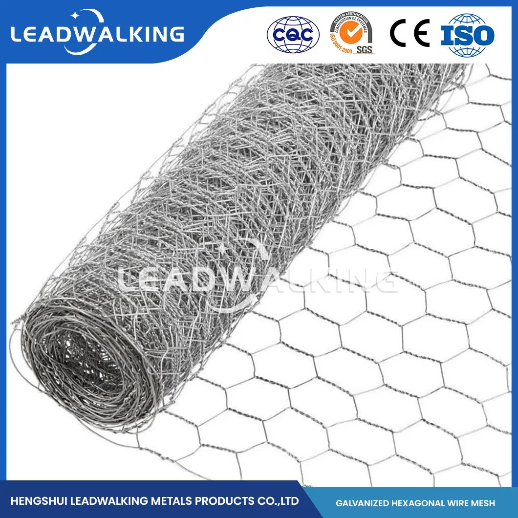 Leadwalking Low Carbon Stahl Drahtmaterial Chicken Drahtgeflecht Fabrik 0,45-2,5mm Drahtstärke PVC hexagonal Netting China Verzinkt Gewebte hexagonal Netz