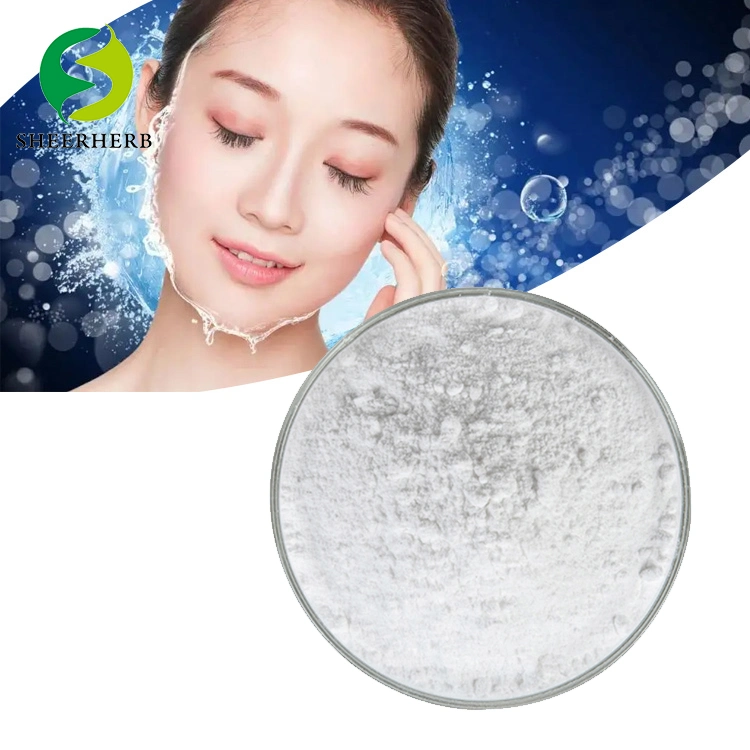 Cosmetic Raw Material Hyaluronic Acid Powder CAS 9004-61-9 Hyaluronic Acid