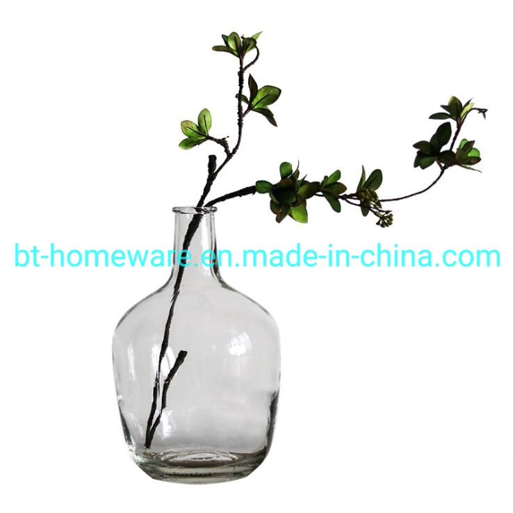 Much Sizes Nordic Narrow Mouth and Big Belly Vase Flower Device Japanese Bell Mahogany Fresh Large Trumpet Floor Transparent Glass Vase