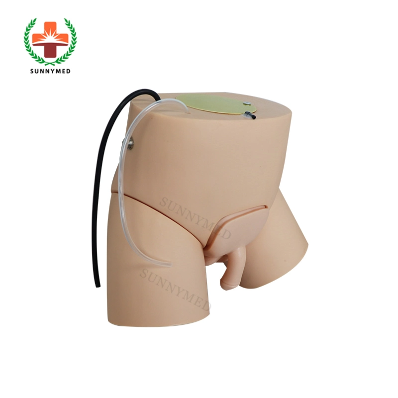 Sy-N04504 Nurse Training Electronic Male/Female Urethral Catheterization and Enema Manikin