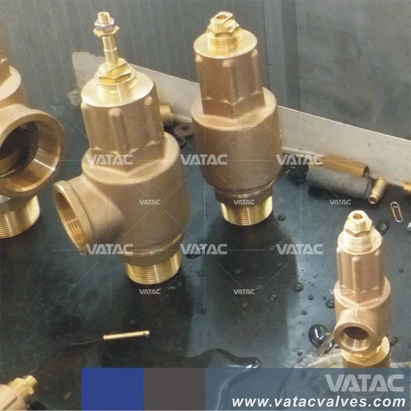 C96800 Spring Loaded Safety Relief Valve