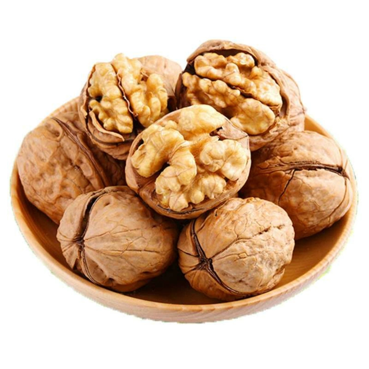 Walnut Chinese Raw Walnut New Crop Hot Selling