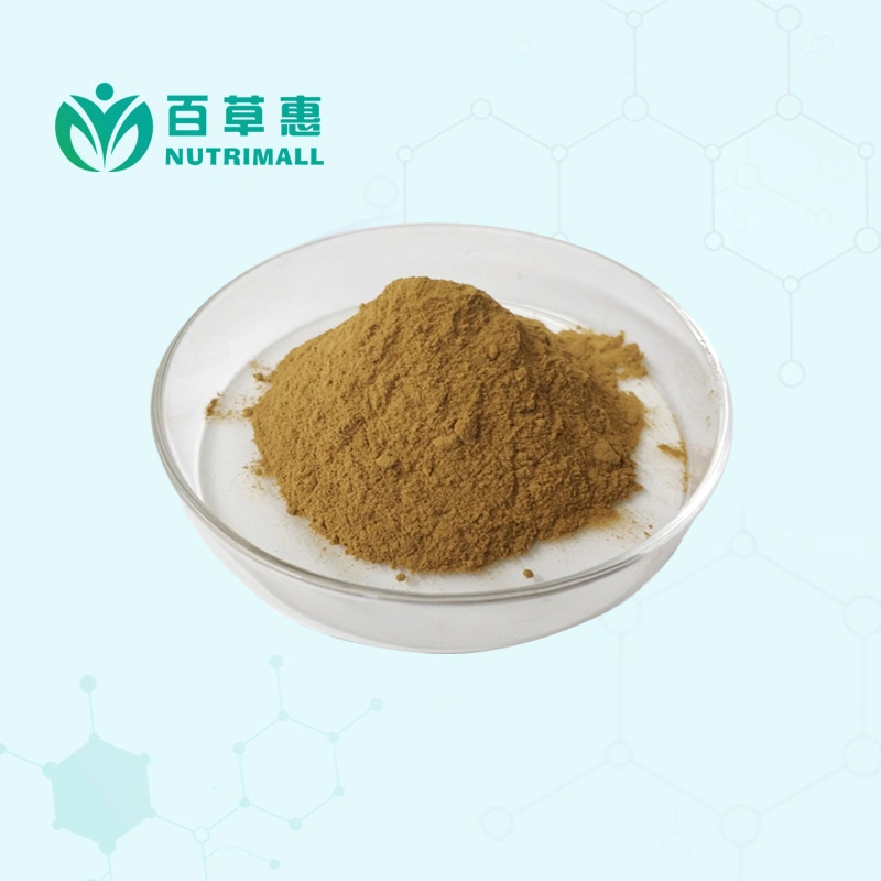 4: 1 10: 1 Hops Extract Powder From 13 Years Professional Factory