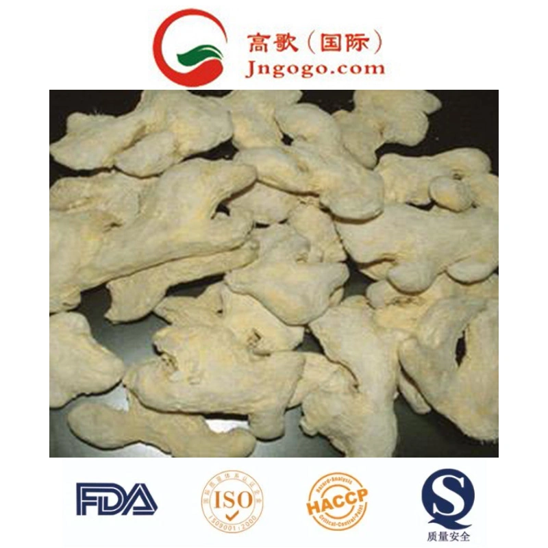 Top Quality Dry Ginger Supplier Dehydrated Ginger