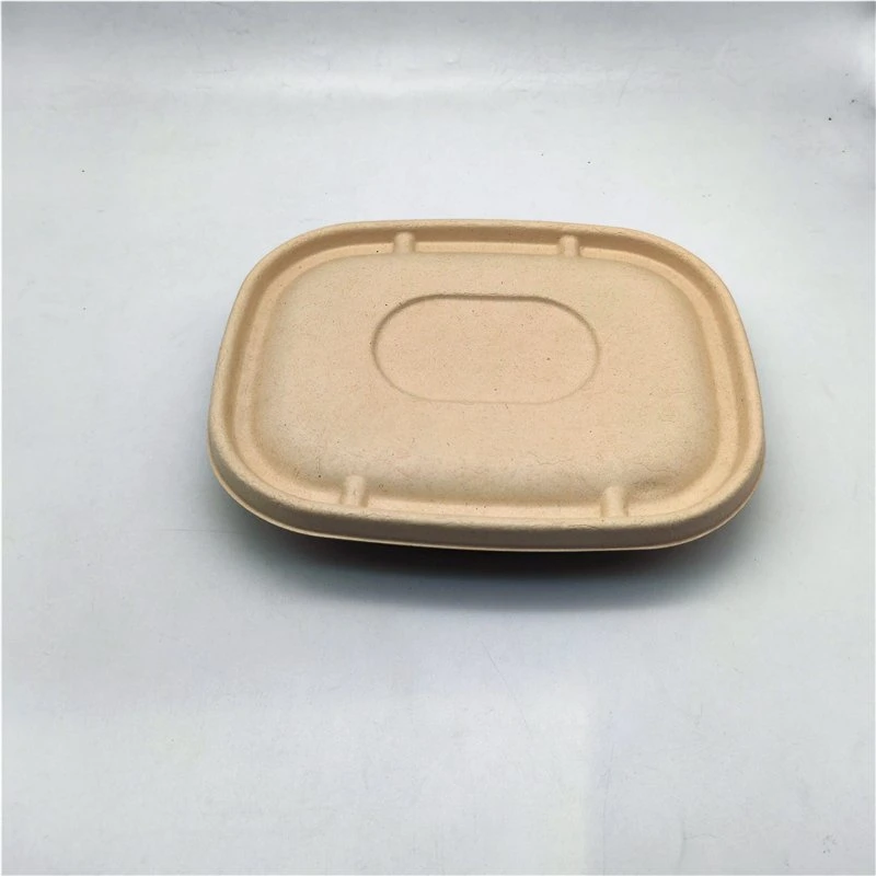 Biodegradable Practical Non-Toxic Cornstarch Tray Packing Box