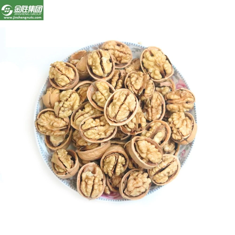 Paper Shell Walnut White Walnuts Kernel Organic Dried Walnuts