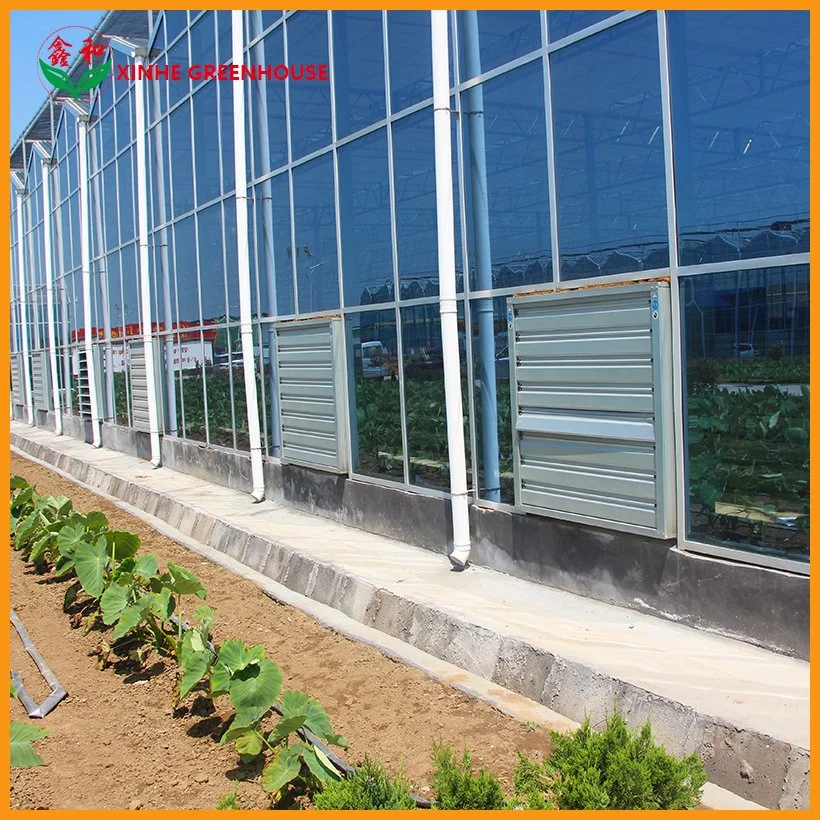 Agricultural Turn-Key Business Farm Glass Green House for Tomoaoes/Lettuce/Cucumber Cherry/Tomoto with Shading System/Ventilation System/Fly Net