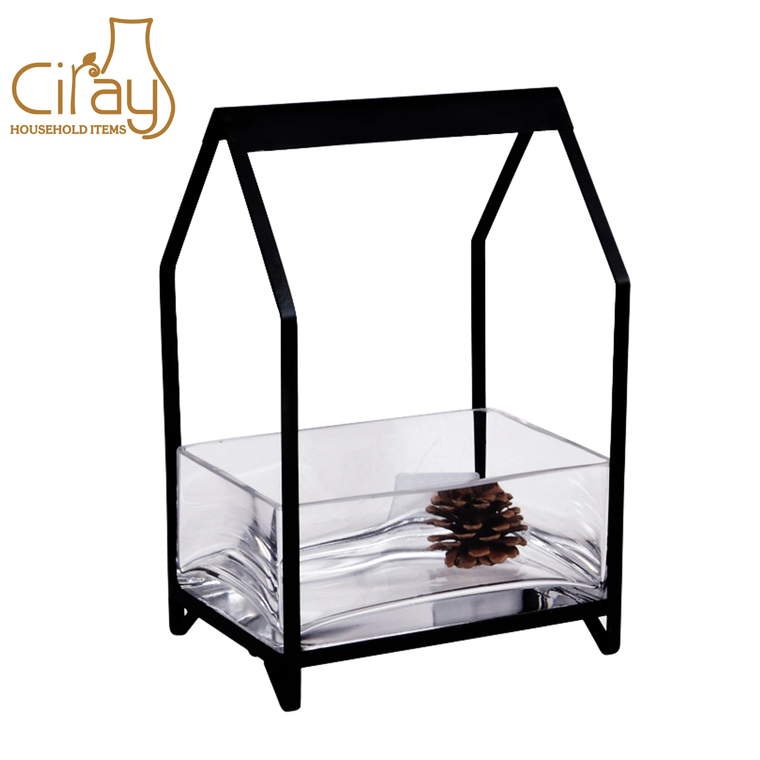 Modern Home Decoration Glass Vase with Metal Stand