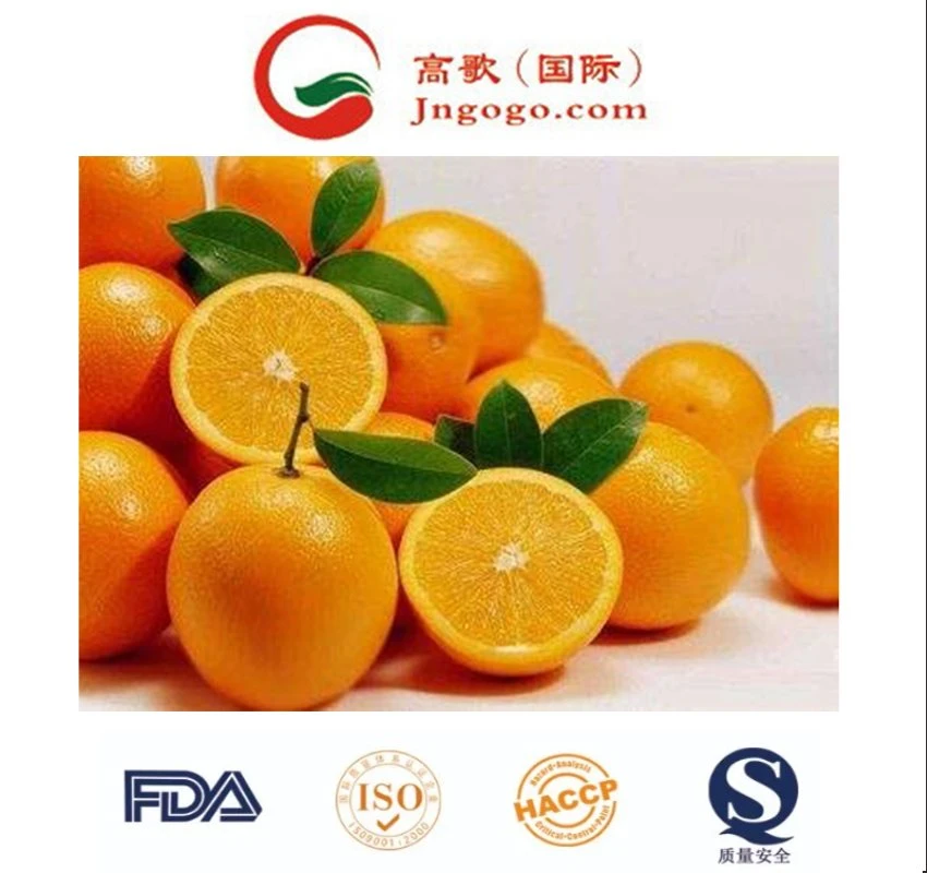 Agrumes Frais d'orange frais Clémentine mandarine