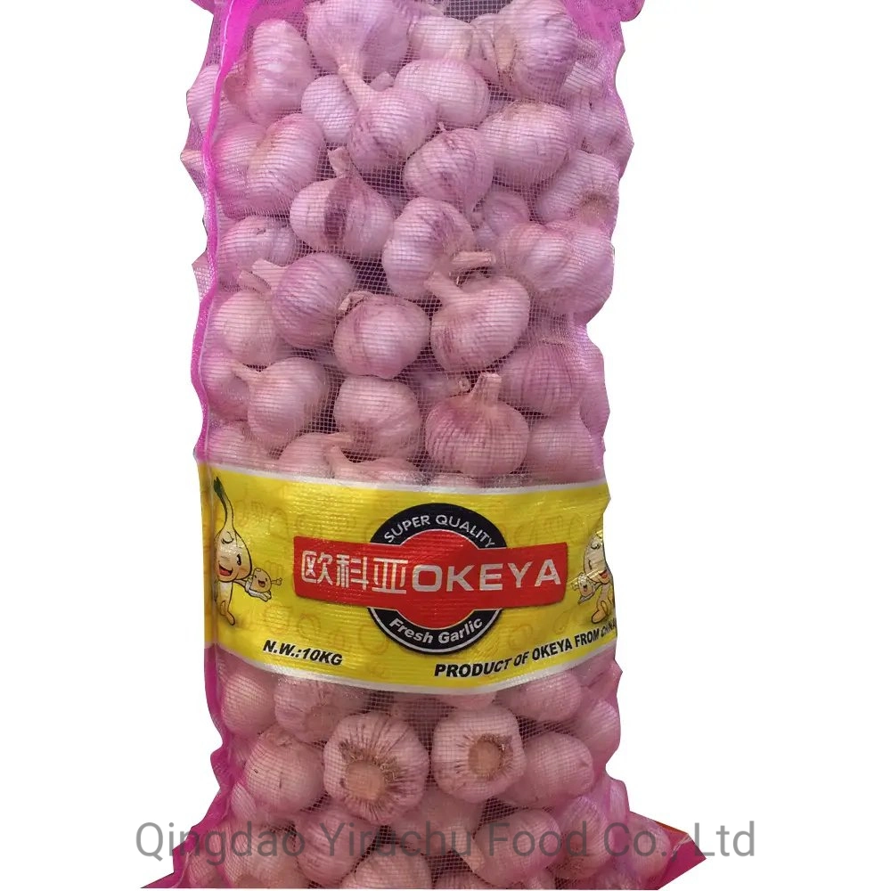 Normal White Garlic Fresh Dried China Origin Shandong Province