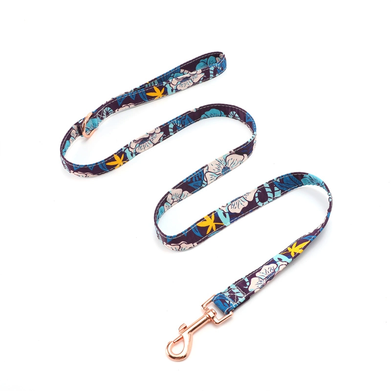 2022 New Products Pet Accessories Pet Leash Colorful Dog Lead