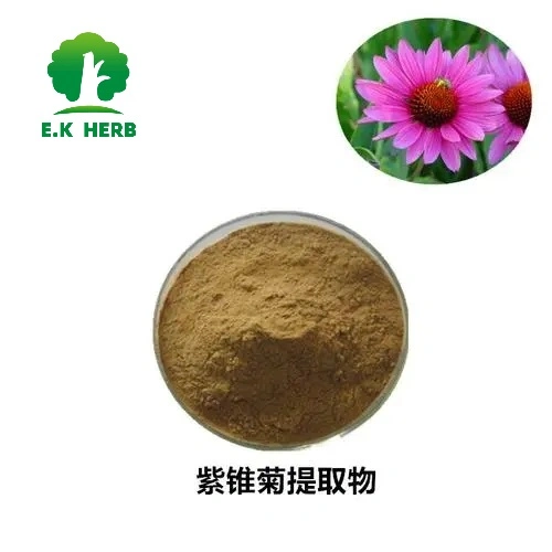 E. K Herb Factory Free Samples Anti-Infective Boosts Immunity Echinacea Purpurea Extract Polyphenols 4% Chicoric Acid 1%-4% Pets Health Products