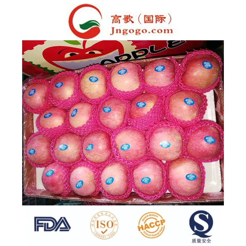 (SQC-PEO) Competitive Price and Quality FUJI Apple