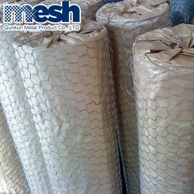 Hot Dipped Galvanized Lran Hexagonal Wire Mesh on Sale