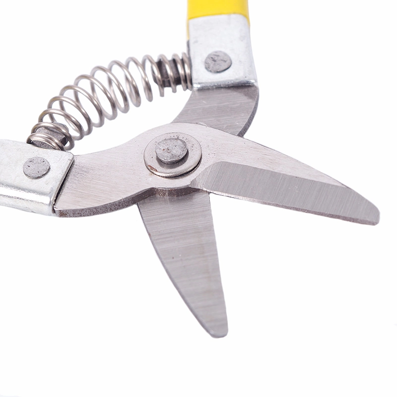 Vigetable Fruit Cutter Pruner Sharpener