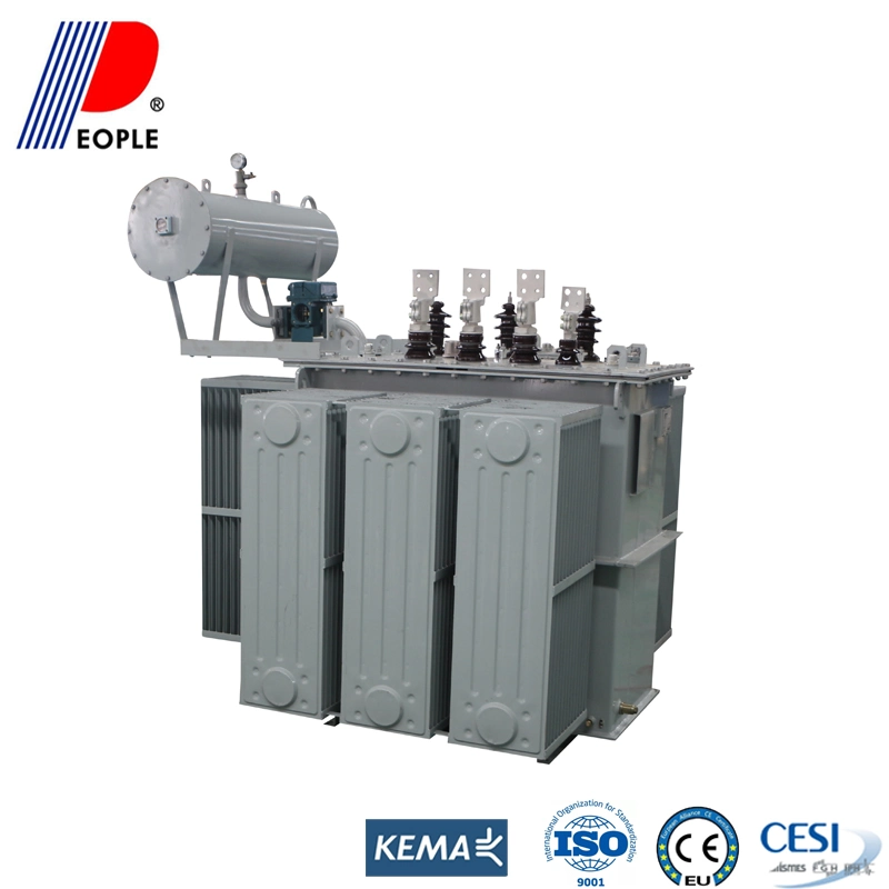 S9 33/11 300kVA Oil Immersed Distribution Power Transfromer