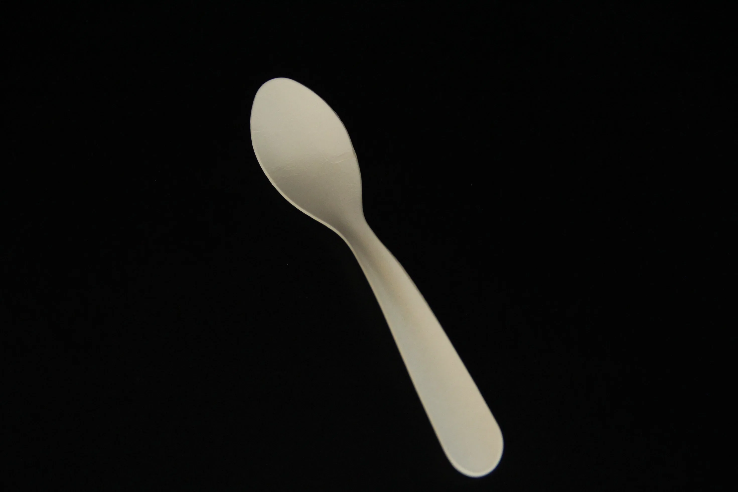 Paper Cutlery 100%Biodegradable Disposable Latest Product