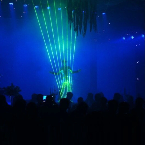 Hot Sale 4W Green Color Animation Laser Stage Light Event Project Laser Lights